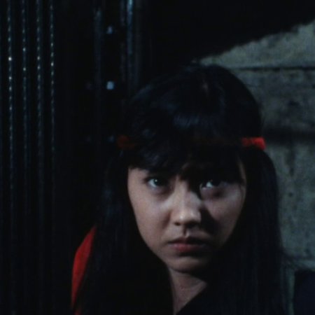 Shoujo Commando Izumi (1987)