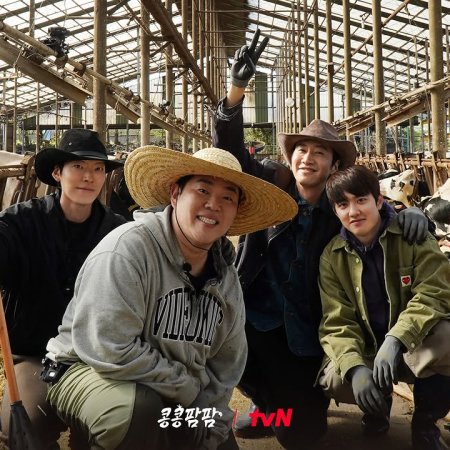 GBRB: Farm Operation - Go Go Farm (2026)