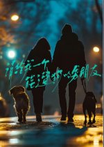 Qing Gei Wo Yi Ge Neng Liu Gou De Nan Peng You Chinese Drama photo