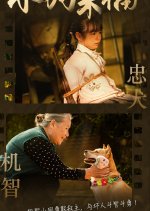 My Puppy Laifu Chinese Drama photo