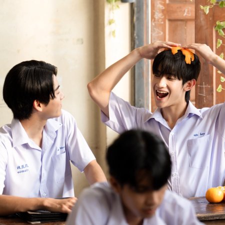 When Oranges Fall (2026)