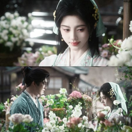 Veil of Shadows (2026)