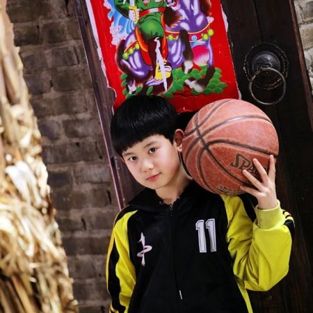 Cong Fan Da Fu Cun (2013)