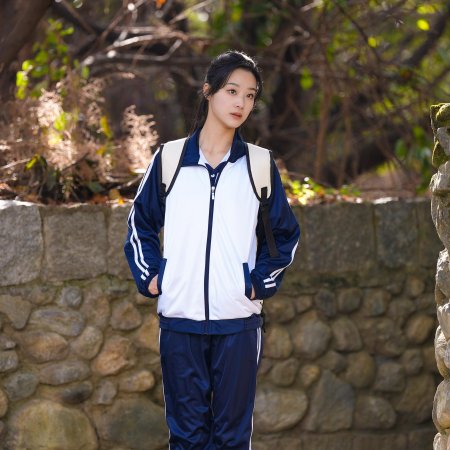 Chun Ri Pan Jing Zhi (2025)