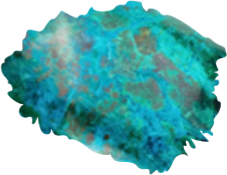 image.png image.png