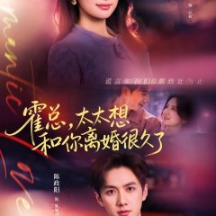 Huo Zong, Tai Tai Xiang Hei Ni Li Hun Hen Jiu Le Chinese Drama(2025) photo