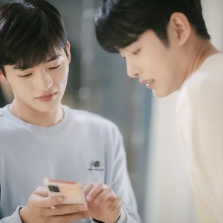 Cherry Blossoms after Winter (2022)