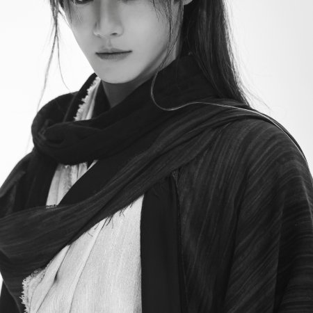 The Legend of Lu Xiaofeng ()