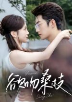 Yu Wen Sang Zhi Chinese Drama(2025) photo