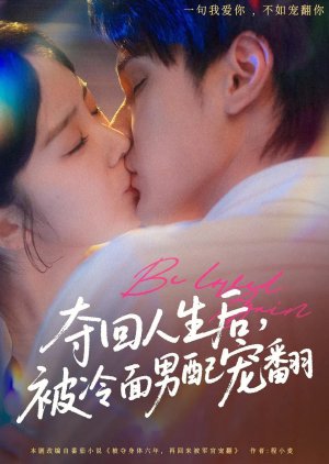 Duo Hui Ren Sheng Hou, Bei Leng Mian Nan Pei Chong Fan (2025) poster