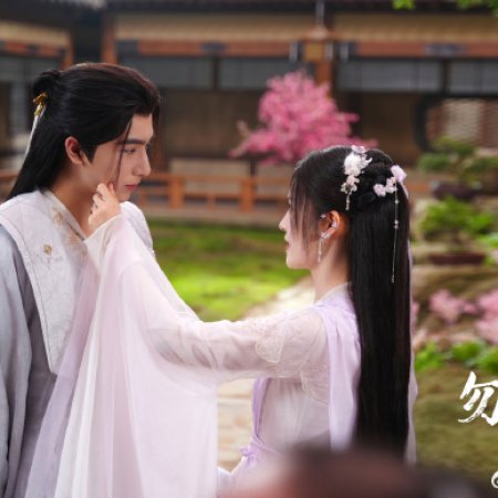 Flying up without Disturb (2025)