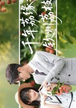Qian Nian Li Yuan Zhi Qin Zhou Li Zhi Chinese Drama(2025) photo