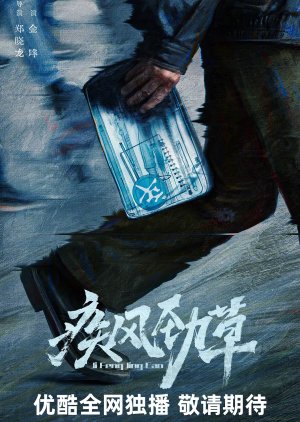 Ji Feng Jing Cao (2026) poster