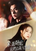 Undercover Mistake Chinese Drama(2025) photo