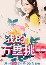 My One in a Million Singaporean Drama(2019) photo