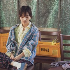 The Land of Morning Calm Korean Movie(2024) photo