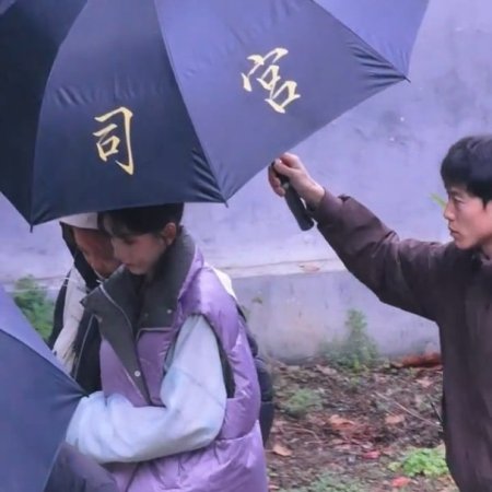 The Palace Stewardess ()