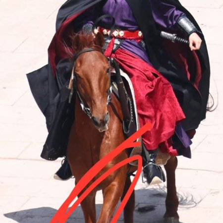 The Palace Stewardess ()