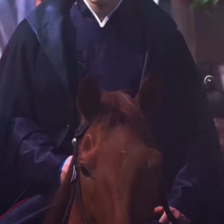 The Palace Stewardess ()