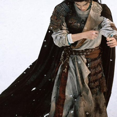 The Palace Stewardess ()