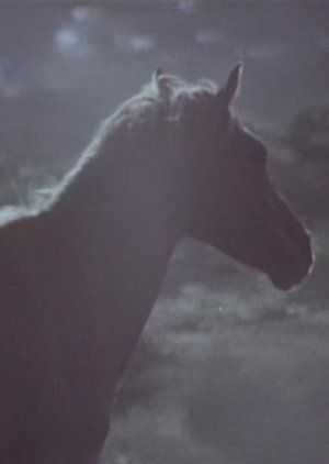 Song of the Horse (1971) poster