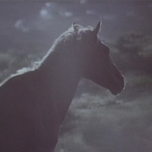Song of the Horse (1971)