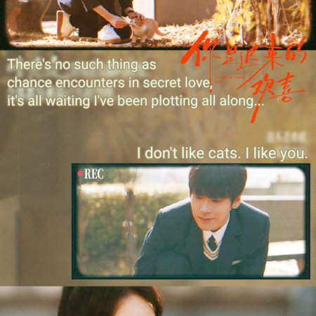 You Are My Fateful Love (2026)