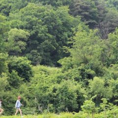 I Have a Date with Spring Korean Movie(2018) photo