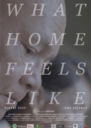 What Home Feels Like (2017) poster