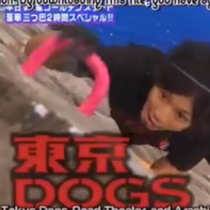 Vs Arashi Tokyo Dogs vs Red Theatre vs Arashi (Golden 2 Hour Special) (2009)