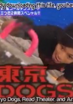 VS Arashi ~Golden Time! Extravagant Three-Way 2 Hours SP~ Japanese TV Program photo