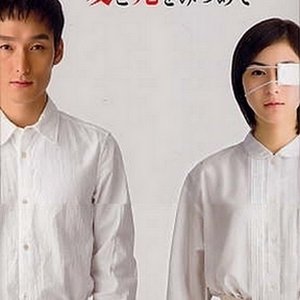 Ai to Shi wo Mitsumete (2006)