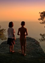 The Forest Thai Movie(2016) photo