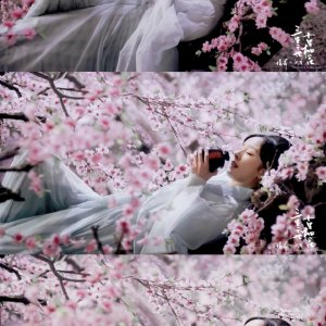 Kamisama no Boto  (2013)