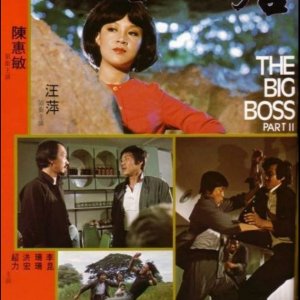 The Big Boss Part 2 (1976)