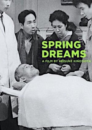 Spring Dreams (1960) poster