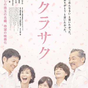 Cherry Blossoms Bloom  (2014)