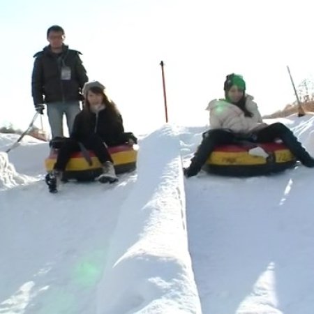 Stop the Bitch Campaign (2009)