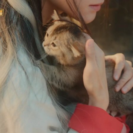 Whispers of Fate (2025)