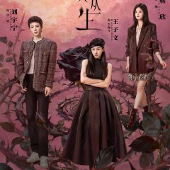 About Love Chinese Drama photo