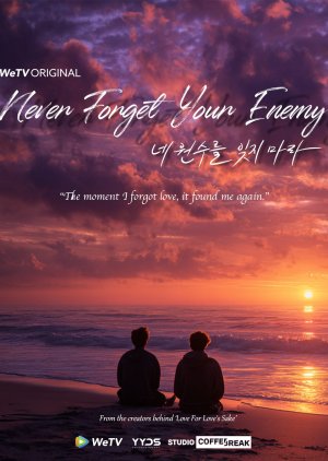 Never Forget Your Enemy (0000) poster