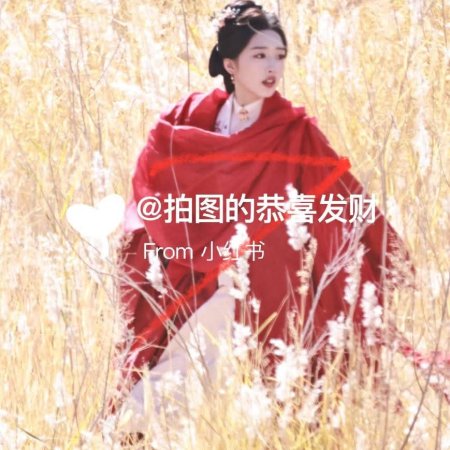 The Road to Splendor ()