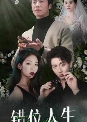 Cuo Wei Ren Sheng (2024) poster