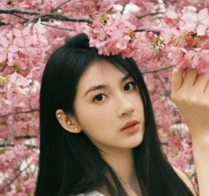 Jia Xuan Li