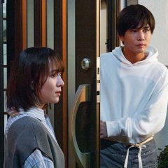 Forest Japanese Drama(2025) photo