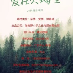 Ai Zai Jiu Mu Li Chinese Drama photo