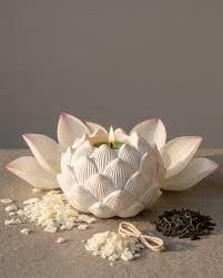 Concrete Lotus 2024