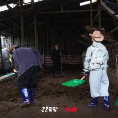 GBRB: Farm Operation - Go Go Farm Korean TV Program(2026) photo