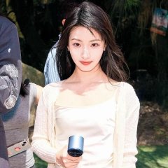 The Golden Bough's Scheme Chinese Drama(2025) photo