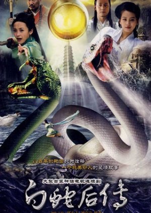 The Legend of the White Snake Sequel (2010) poster